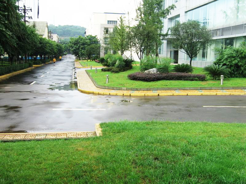 蘇州小區(qū)綠化養(yǎng)護(hù)知識(shí)基本常識(shí)？