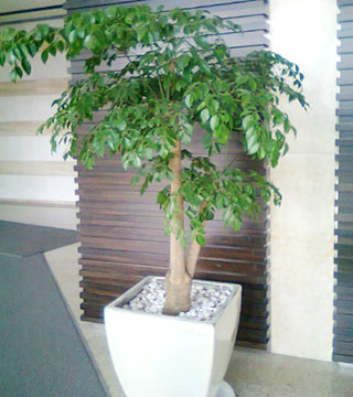 1695353631203006.jpg 1-1Z62Q05P95G.jpg