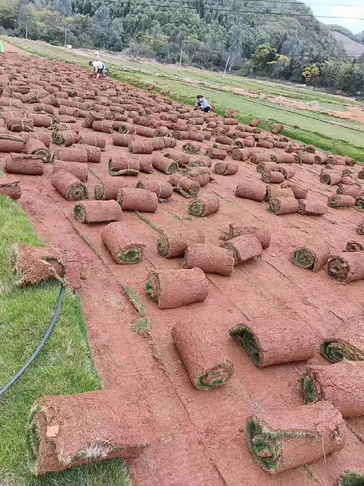 出貨后的草場(chǎng)