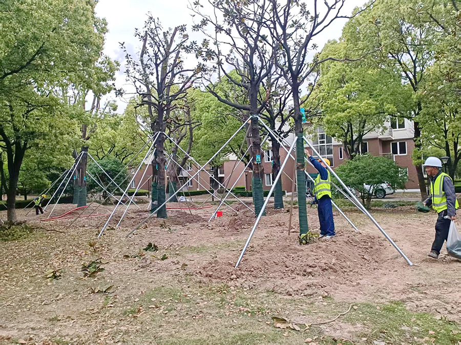 協(xié)鑫國(guó)際能源中心